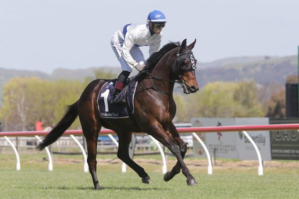 Spring targets for Catalyst