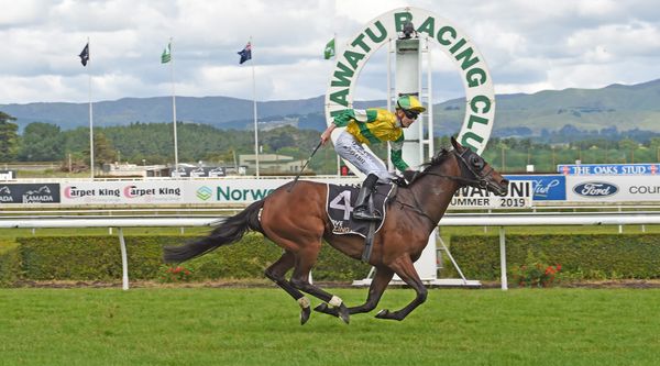 Concert Hall on song in Manawatu Cup