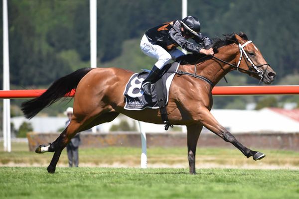 Group One-winning mare goes under the gavel
