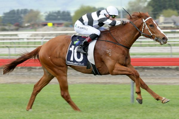 Ritchie seeking Ellerslie riches