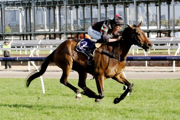 Defibrillate adds another win to his tally