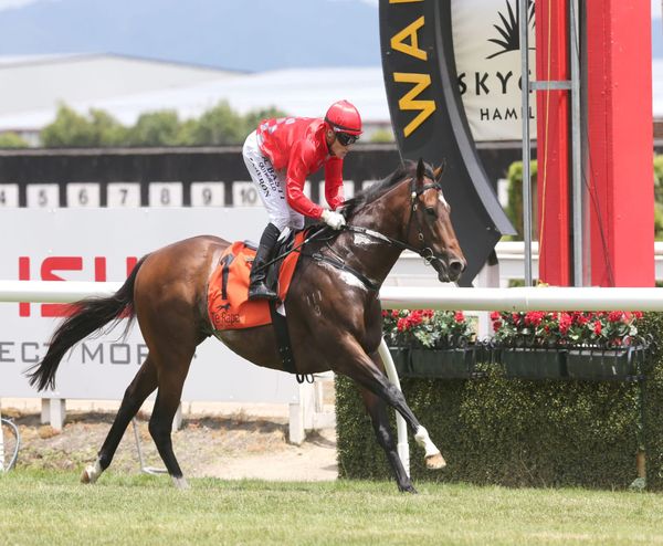 Ferrando’s racing days over
