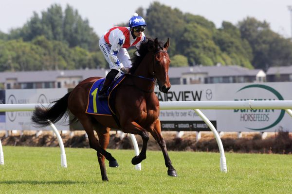 Guy hoping emerging miler brings A game