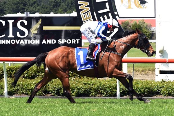 Milestone stakes win awaits Bradley