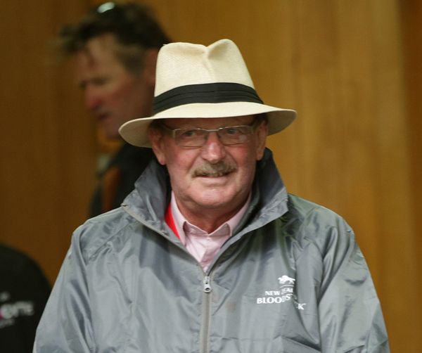 Auckland/Waikato yearling tour