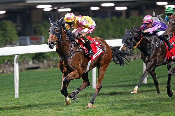 Kiwi-bred scores Hong Kong win