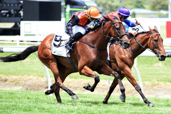 Vile hoping to star in local Cup