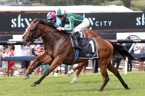 Classy filly sheds maiden status in style
