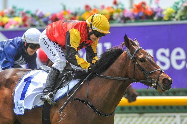 La Romanee out of Karaka Million
