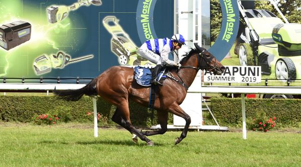 Te Akau quartet tackle New Year’s Day riches