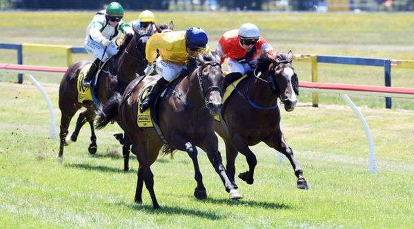 Steep learning curve pays off for Sacred Falls filly