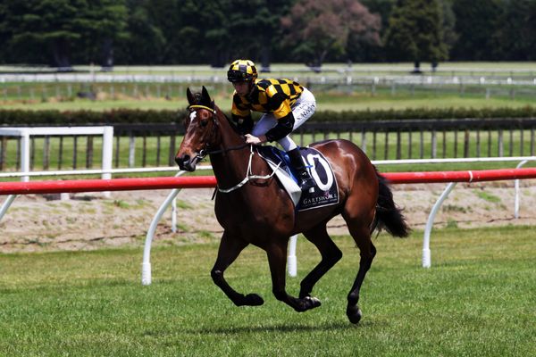 Three-year-old fillies exciting Noble