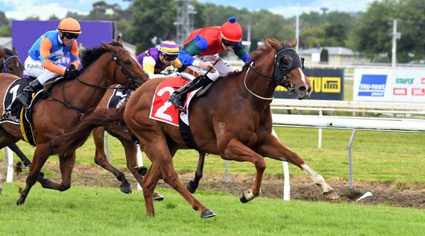Mascarpone sends warning to three-year-old rivals