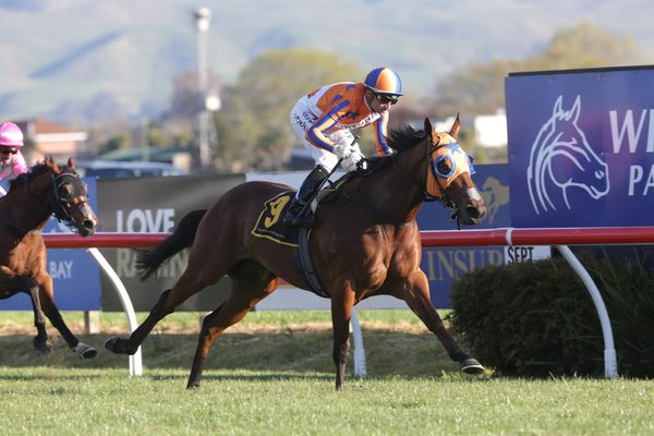 Caulfield hosts Futurity Stakes workouts