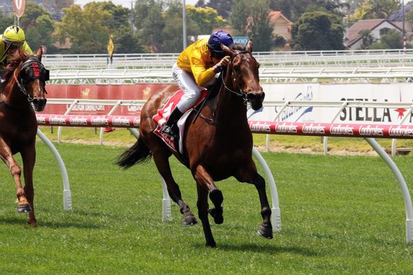 Mrs Beckham salutes at Caulfield