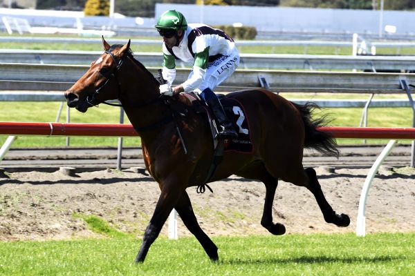 Failure isn’t an option for gun Pike colt
