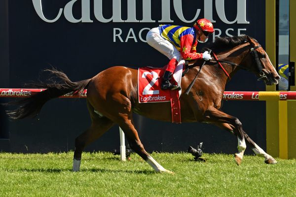 Odeon breaks winless streak at Caulfield