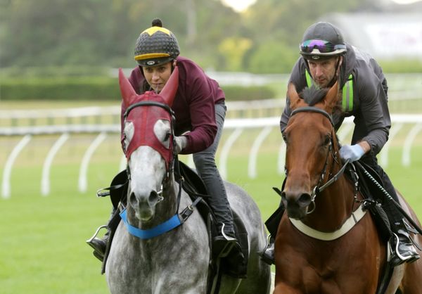 Pike looking to maintain unblemished record