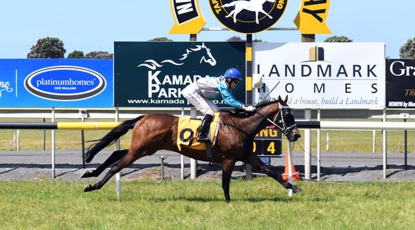 Pep Torque scores in New Plymouth feature