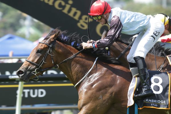 Moroney’s focus shifts across Tasman