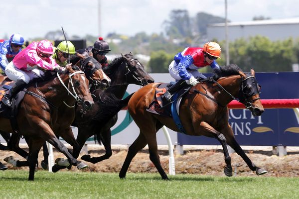 Cambridge mare top of the pops at Te Rapa