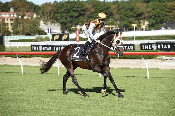 Karaka First Crop Sire - Preferment