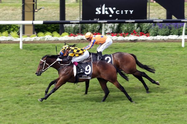 Pretty To Sea lifts Cambridge Stud spirits