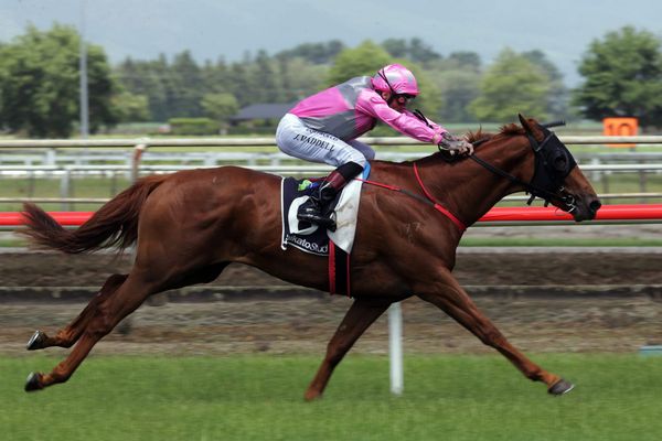 Principle too good at Matamata