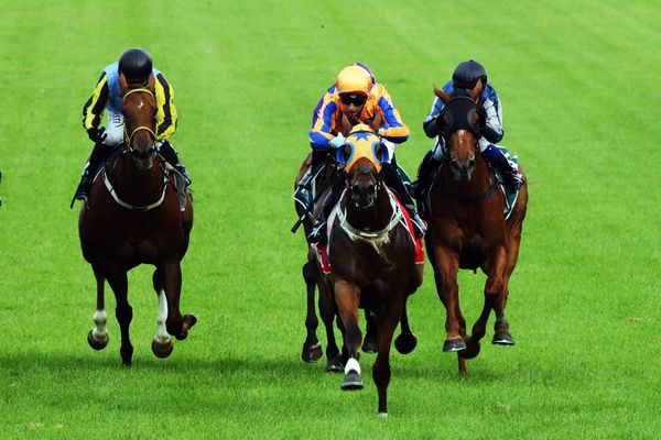 Ellerslie double caps strong week for Richards