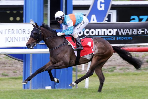 Tiley gunning for back-to-back Bonecrusher Stakes wins