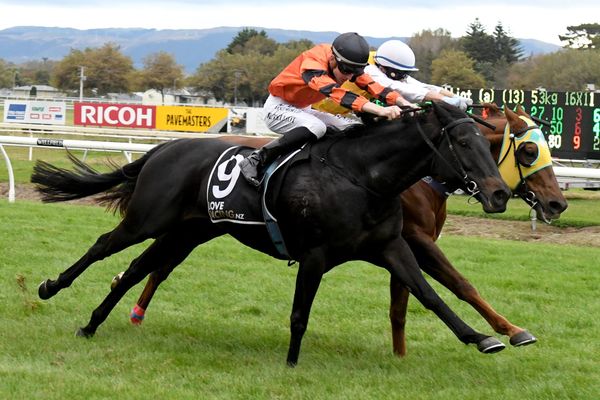 Elliot family wishing for black-type Christmas