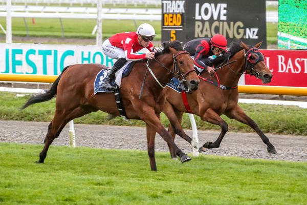 Three-year-olds sold, but Pitmans still potent