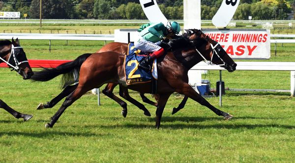 Scorpz preparing well as Marsh seeks to extend Derby reign