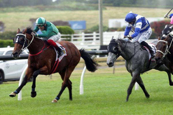 Scorpz too tough in Ellerslie feature