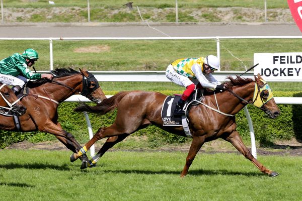Sprint path likely for Shadows Cast