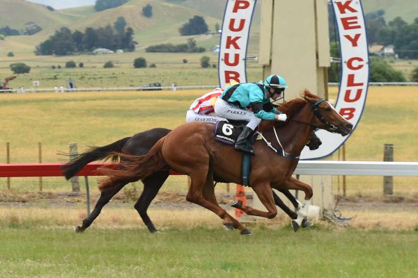 Showpiece stars in debut victory