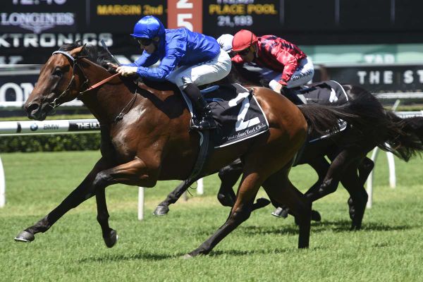 Karaka First Crop Sire - Telperion