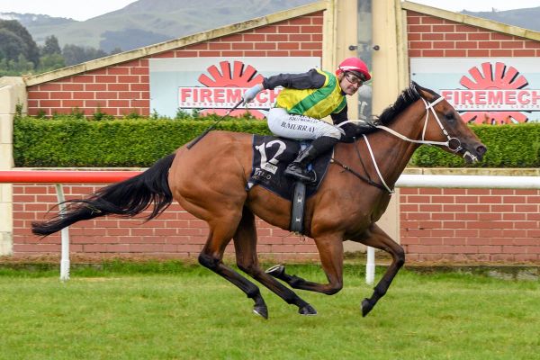 Precious victory for regally-bred mare