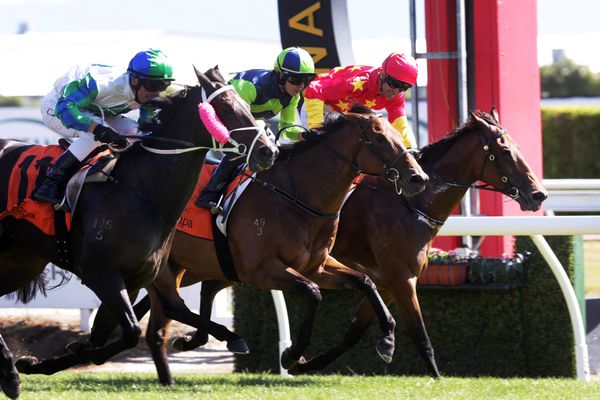 The Real Beel upsets in Cal Isuzu Stakes