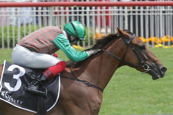 Travelling Light takes out first Boxing Day feature