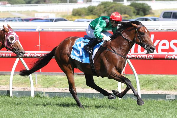 Karaka First Crop Sire - Turn Me Loose