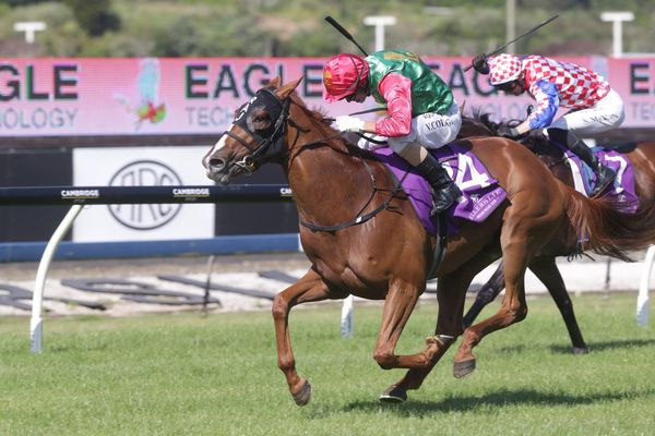 Young trainer vying for Boxing Day repeat