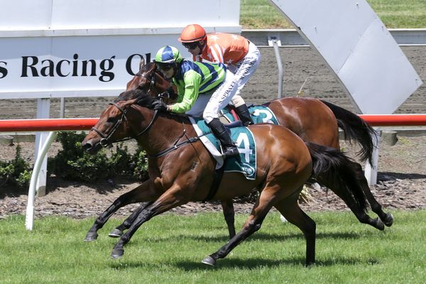 Luptons savour stakes successes