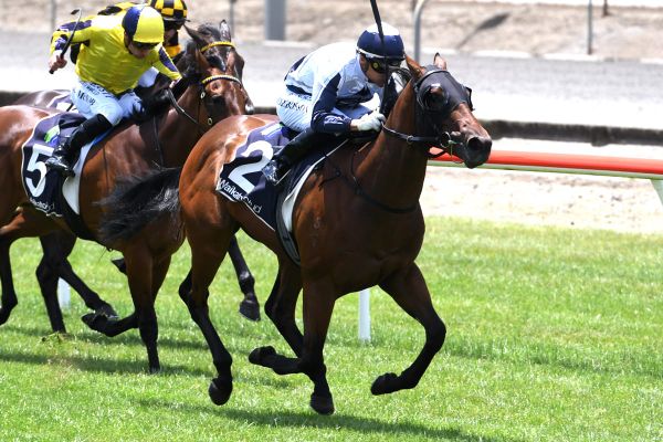 Richards unveils impressive juvenile winner on home turf