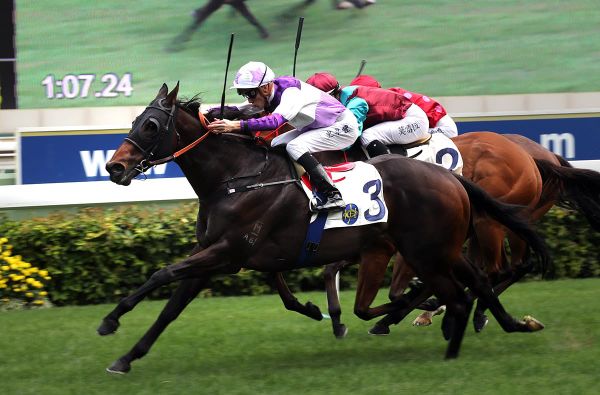 Rattan takes Stewards’ route as Gibson’s Wishful for more Group 1 spoils