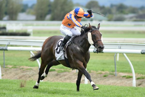 Avantage’s wide draw not diluting Richards’ confidence