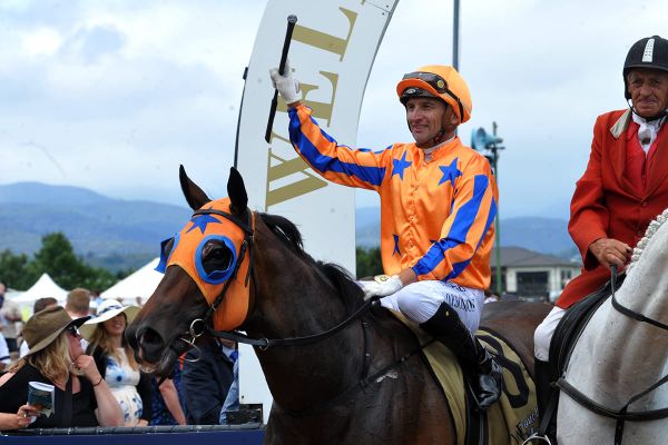 Bosson hungry for further Karaka Million success