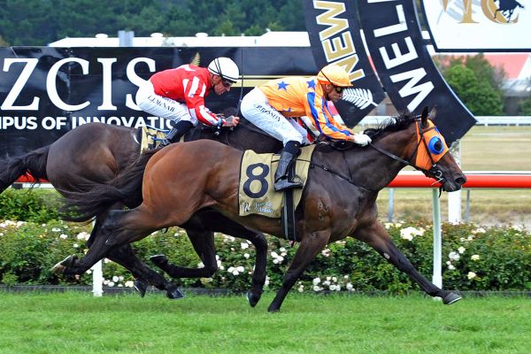 Te Akau take Telegraph with Avantage