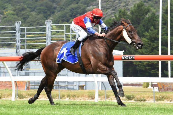 Headstrong southerner too swift in Trentham Stakes