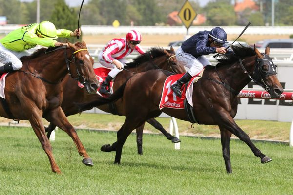 NZ trip for Conqueror after Caulfield win